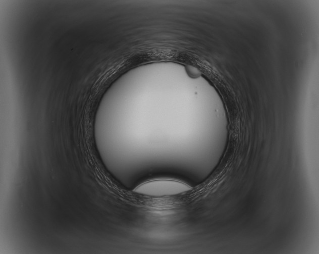 X0000086001201200703230841