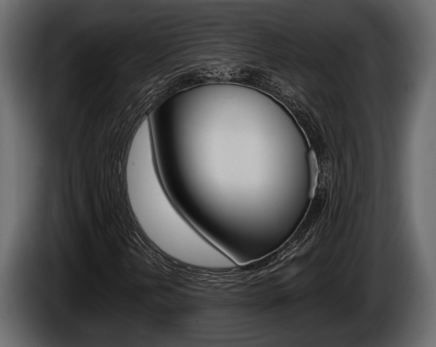 X0000086001202200703230841
