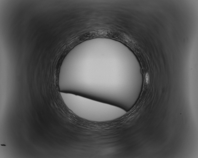 X0000086001203200703230841