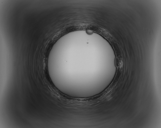 X0000086001204200703230841