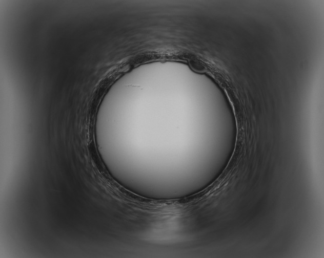 X0000086001205200703230842