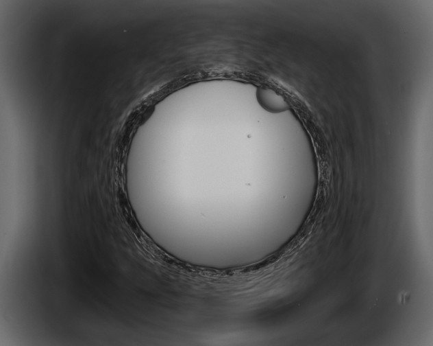 X0000086001207200703230842