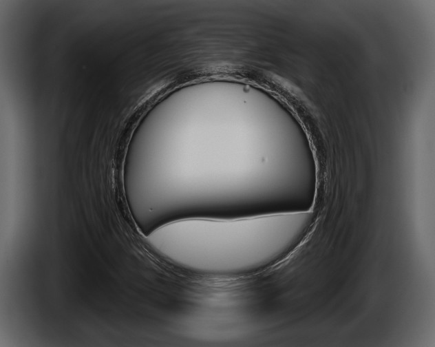 X0000086001209200703230842