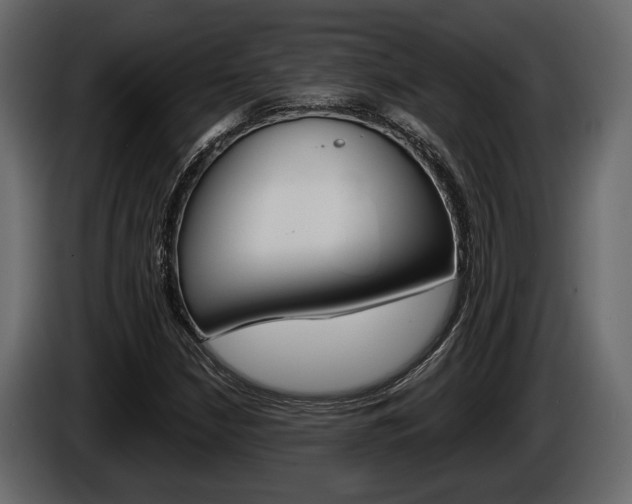 X0000086001210200703230842