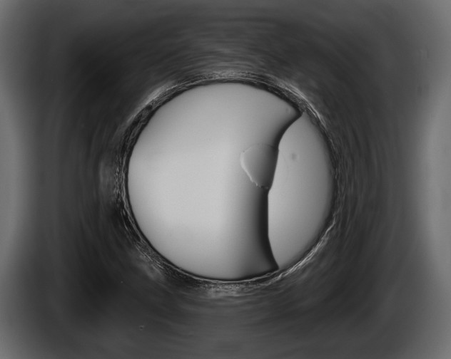 X0000086001211200703230842