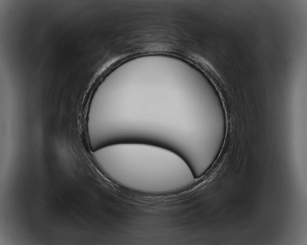 X0000086001212200703230842