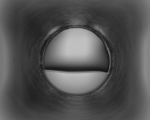 X0000086001213200703230842