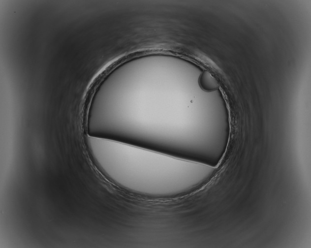 X0000086001216200703230842