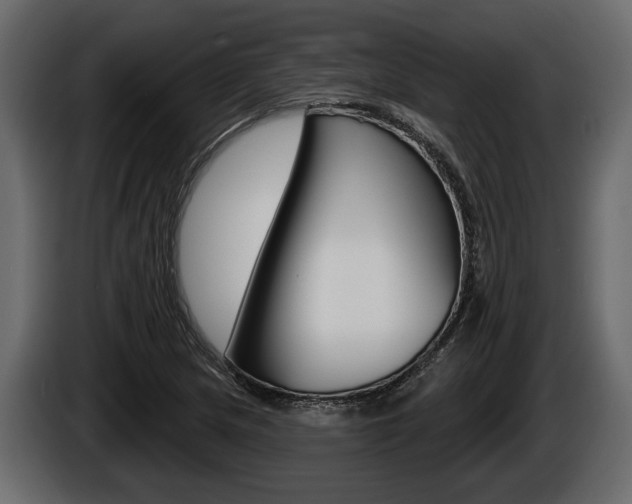 X0000086001217200703230842