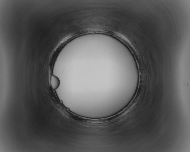 X0000086001219200703230842