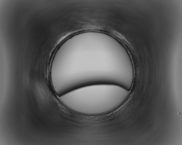 X0000086001220200703230842