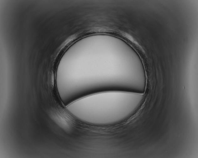 X0000086001221200703230842