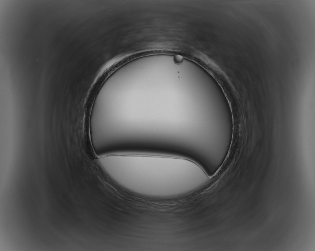 X0000086001222200703230842