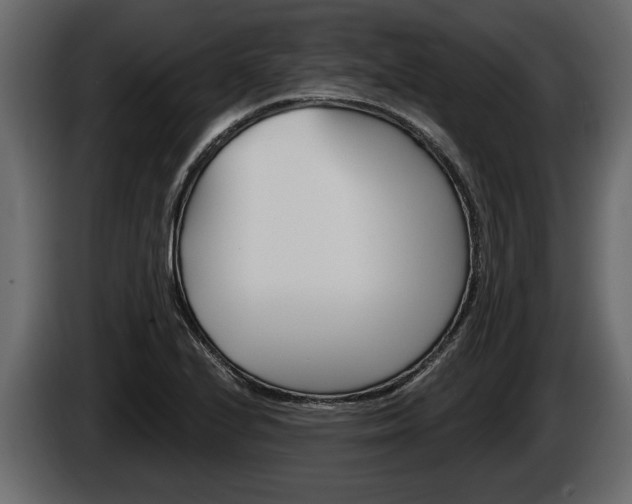 X0000086001224200703230842