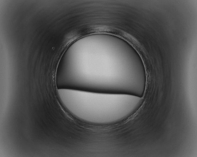 X0000086001225200703230842