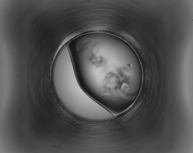 X0000086001226200703230842