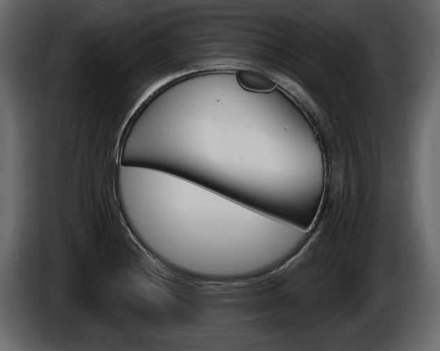 X0000086001228200703230842