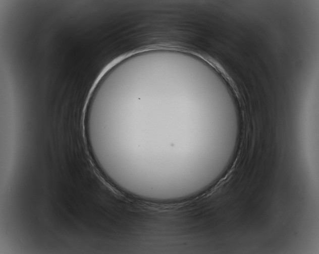 X0000086001230200703230842