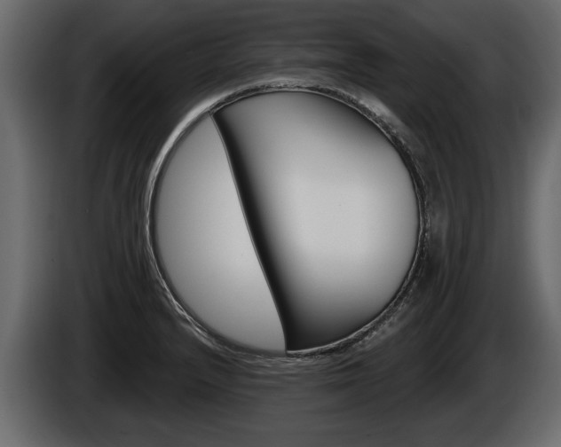 X0000086001232200703230842