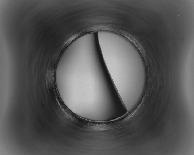 X0000086001233200703230842