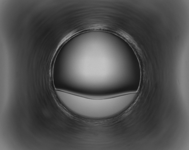 X0000086001234200703230842