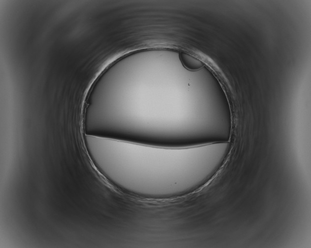 X0000086001236200703230842