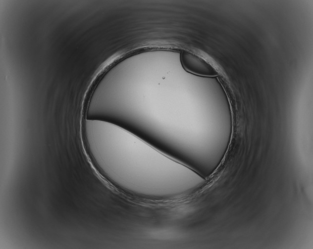X0000086001237200703230842