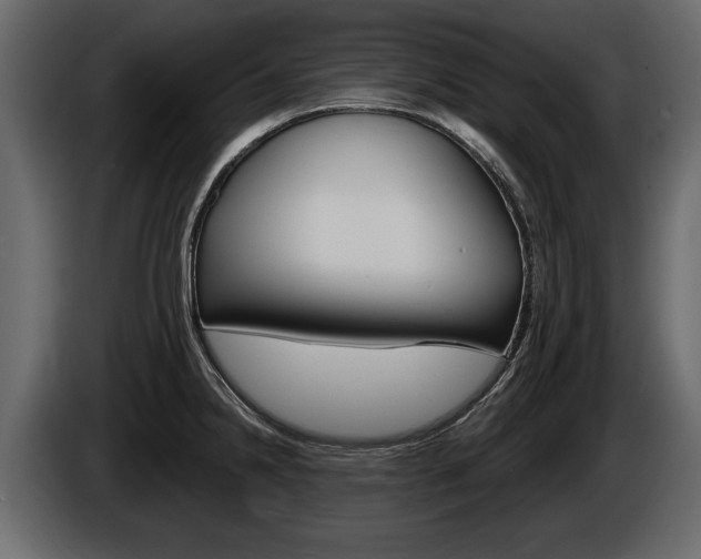 X0000086001238200703230842