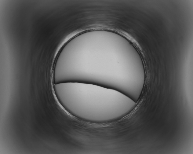 X0000086001239200703230842