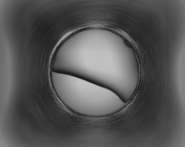 X0000086001240200703230842
