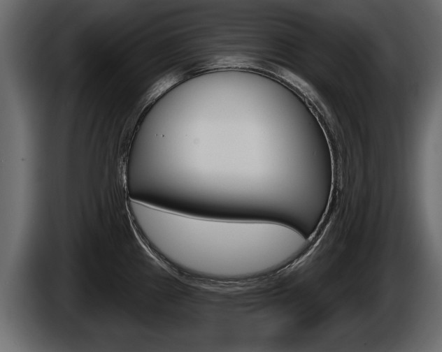 X0000086001241200703230842