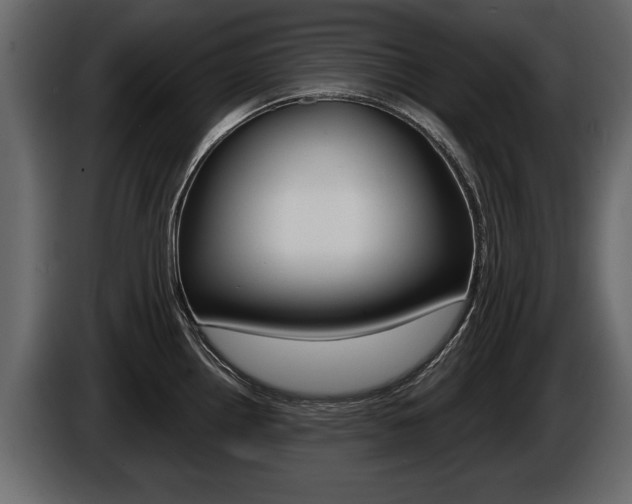 X0000086001242200703230842