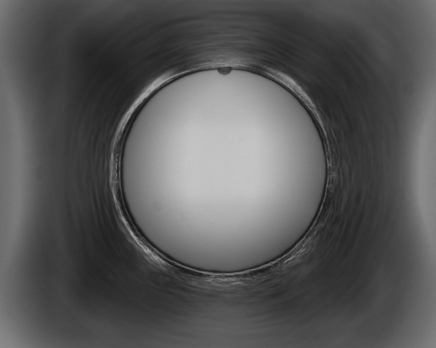 X0000086001243200703230842