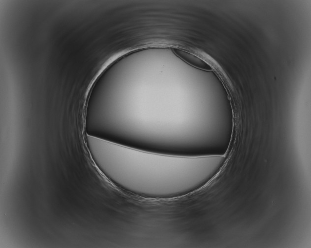 X0000086001244200703230842