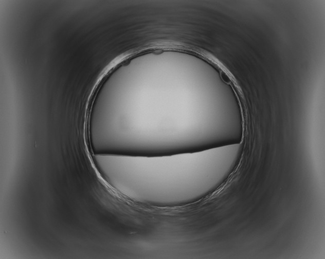 X0000086001245200703230842