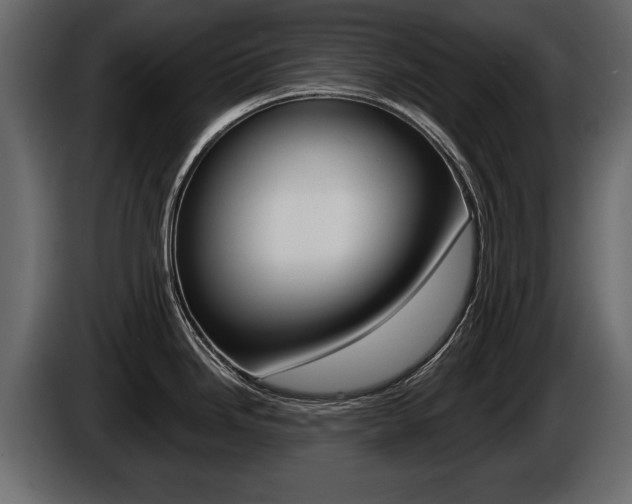 X0000086001246200703230842