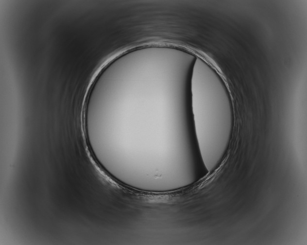 X0000086001247200703230842