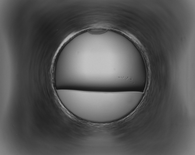 X0000086001248200703230842