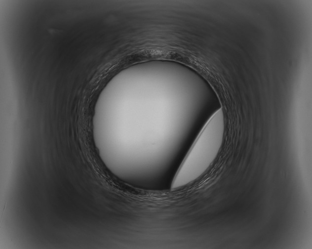X0000086001249200703230841