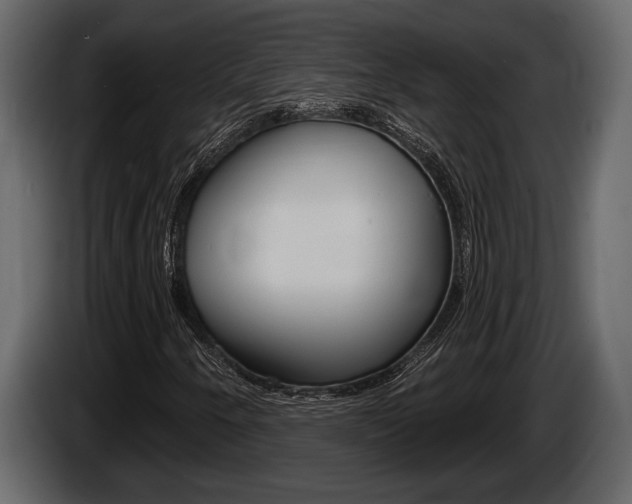 X0000086001250200703230841