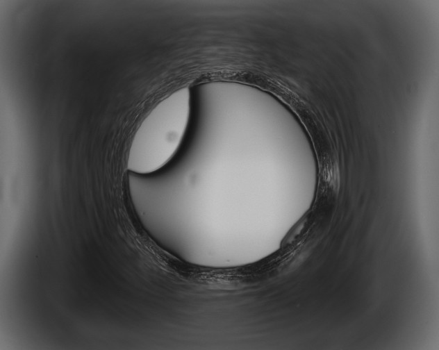 X0000086001252200703230841