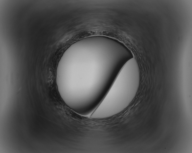 X0000086001253200703230841