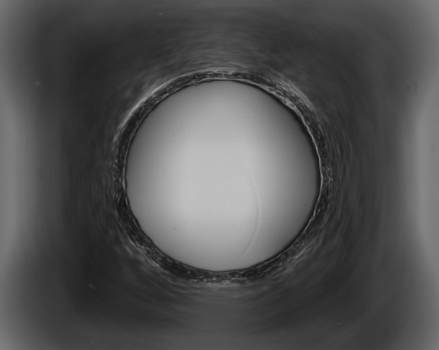 X0000086001256200703230841