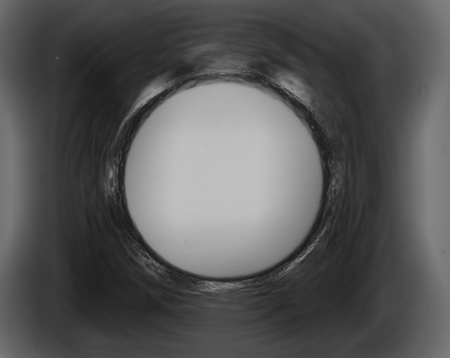 X0000086001258200703230841