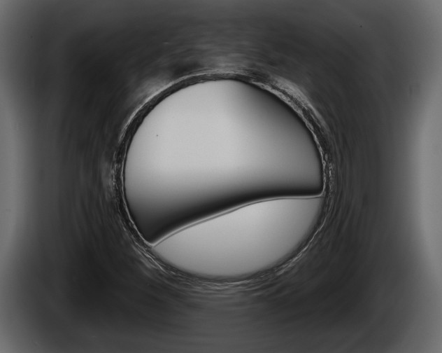 X0000086001260200703230841