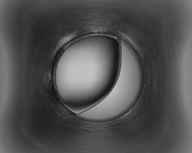 X0000086001261200703230841