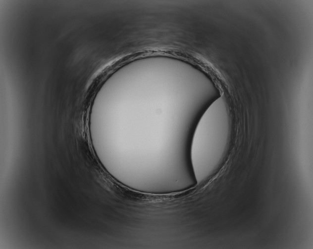 X0000086001262200703230841