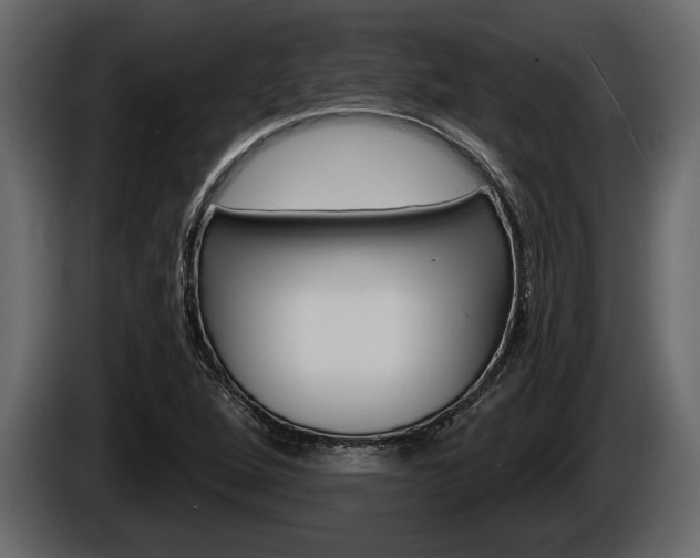 X0000086001264200703230841