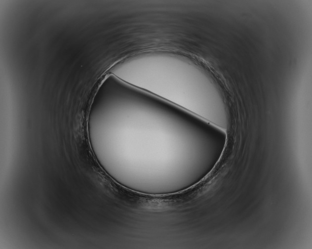 X0000086001265200703230841