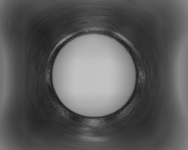 X0000086001266200703230841
